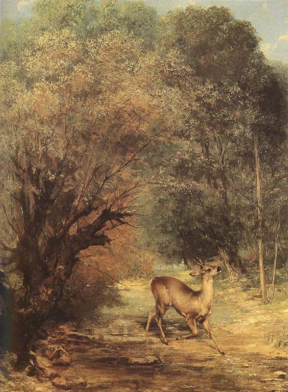 Gustave Courbet Deer